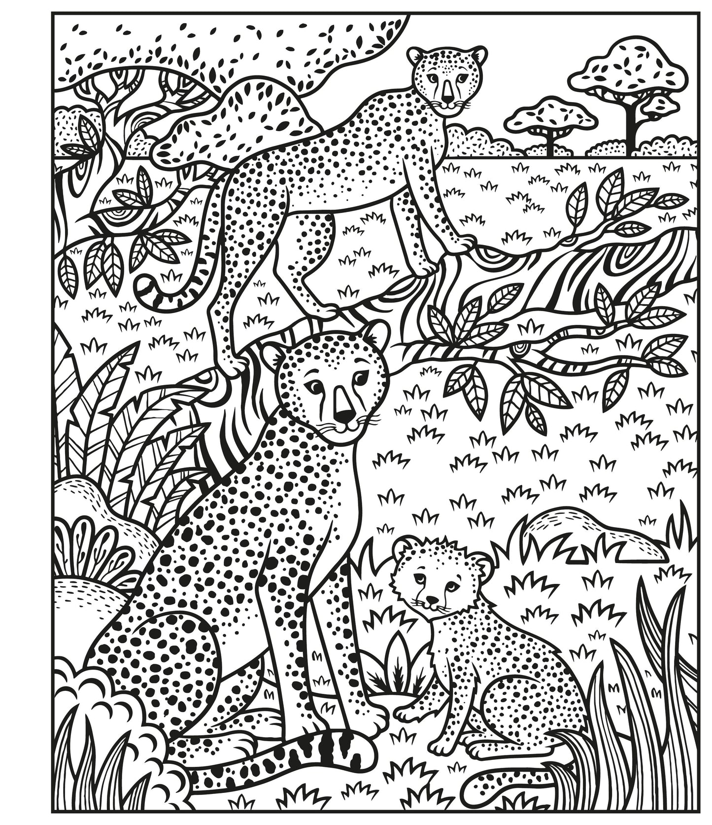 Carte pentru copii pentru pictura cu apa Usborne Magic Painting