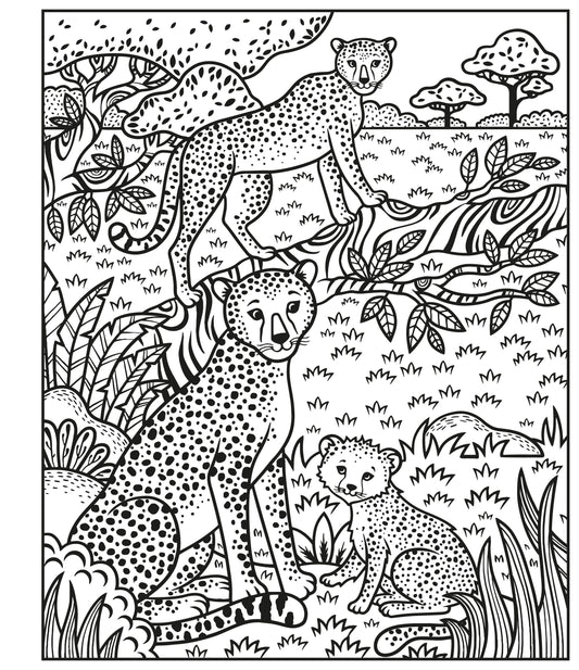 Carte pentru copii pentru pictura cu apa Usborne Magic Painting
