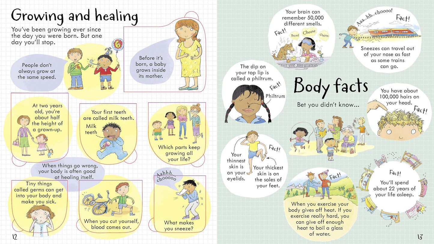 Carte educativa cu ferestre pentru copii, Usborne Look Inside