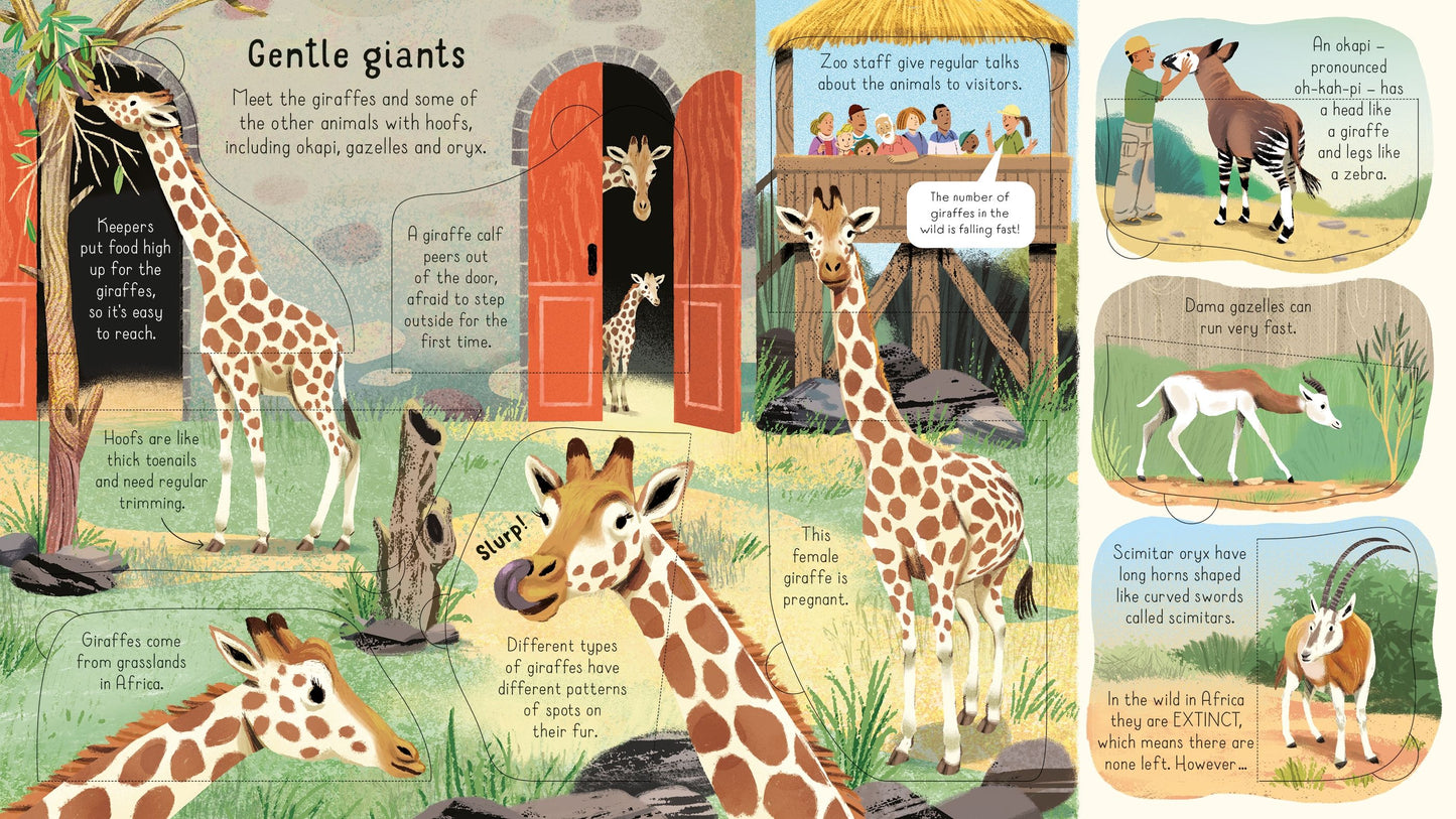 Carte educativa pentru copii, cartonata integral, ilustrata, Usborne Look Inside