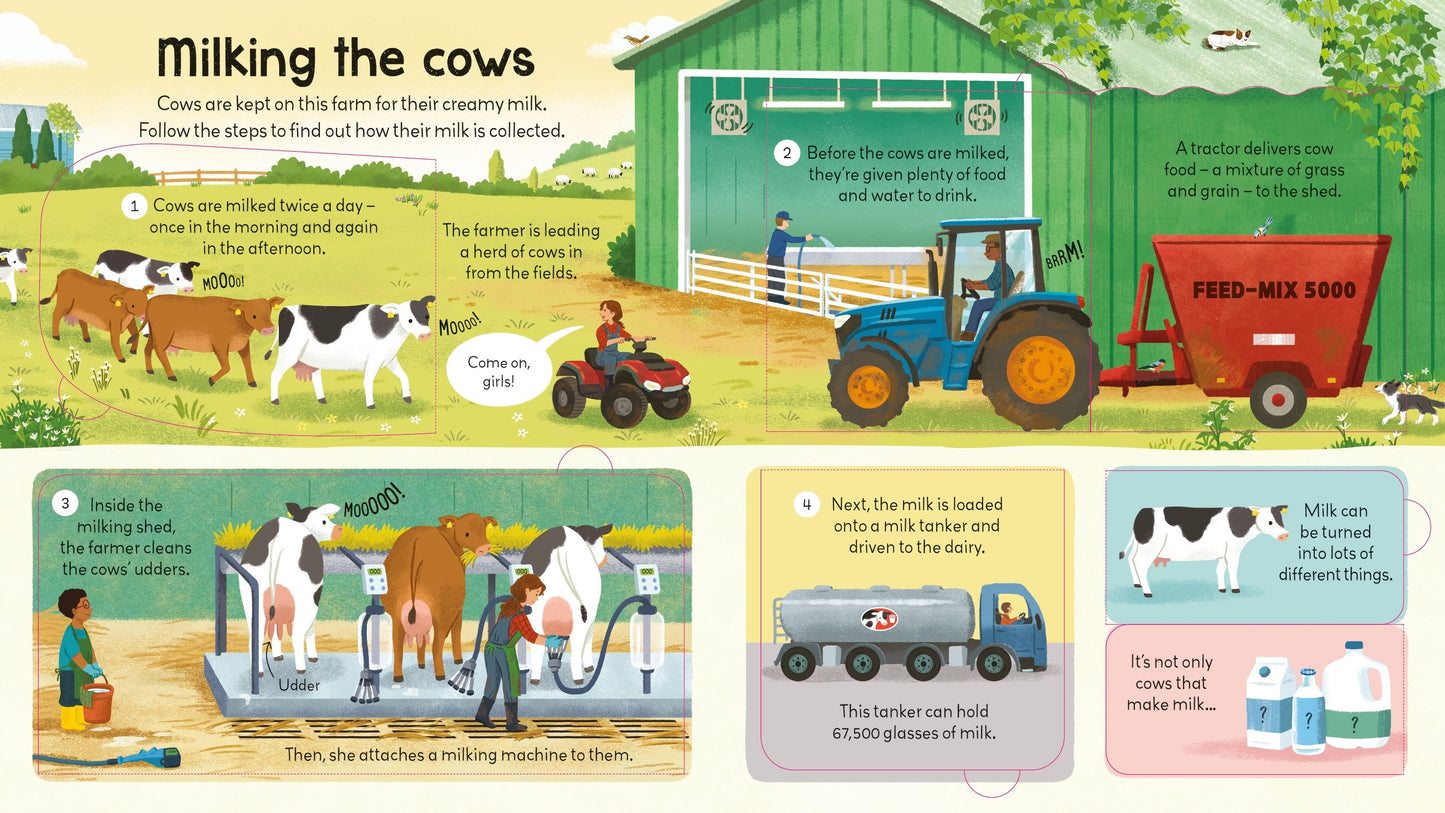 Carte pentru copii cu clapete, integal cartonata, ilustrata si educativa Usborne Look Inside