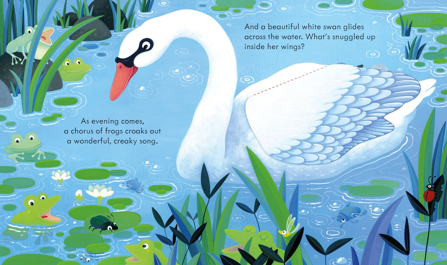 Carte educativa pentru copii, cartonata, cu clapete Usborne Peep Inside