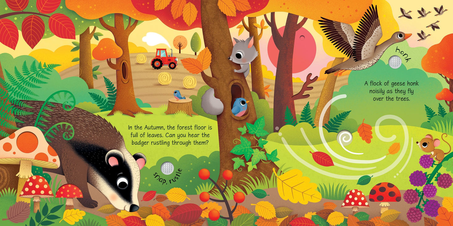 Carte pentru copii cu sunete, Usborne