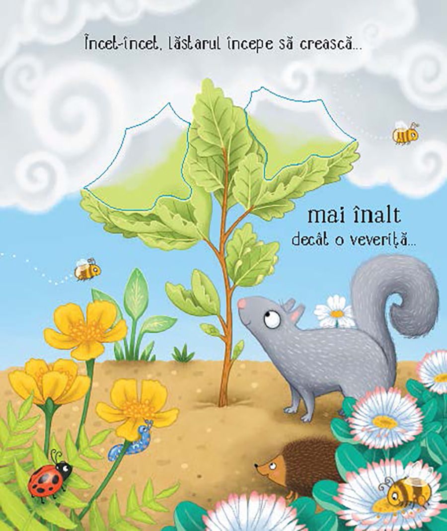Carte Usborne pentru copii ilustrata si cartonata integral, in limba romana