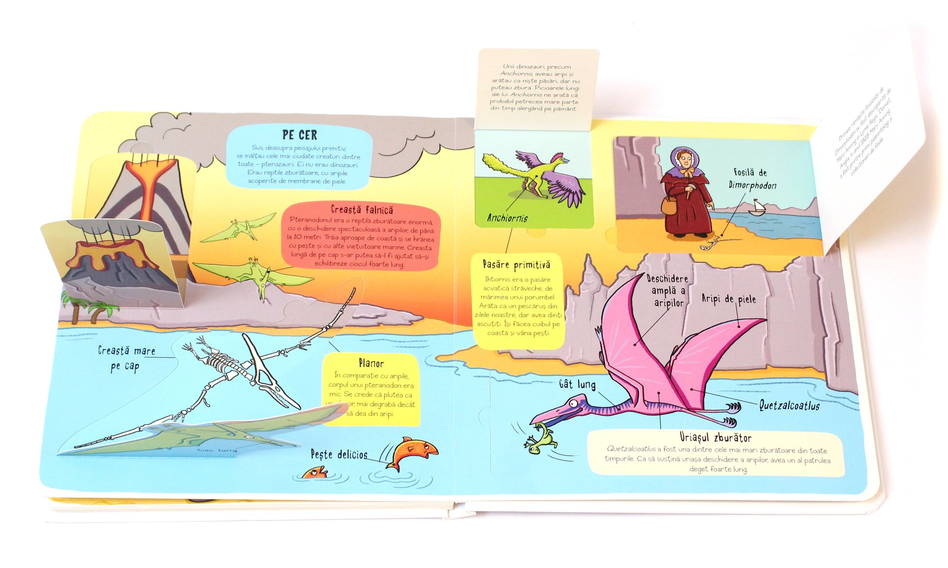 Carte educativa pentru copii, cu clapete