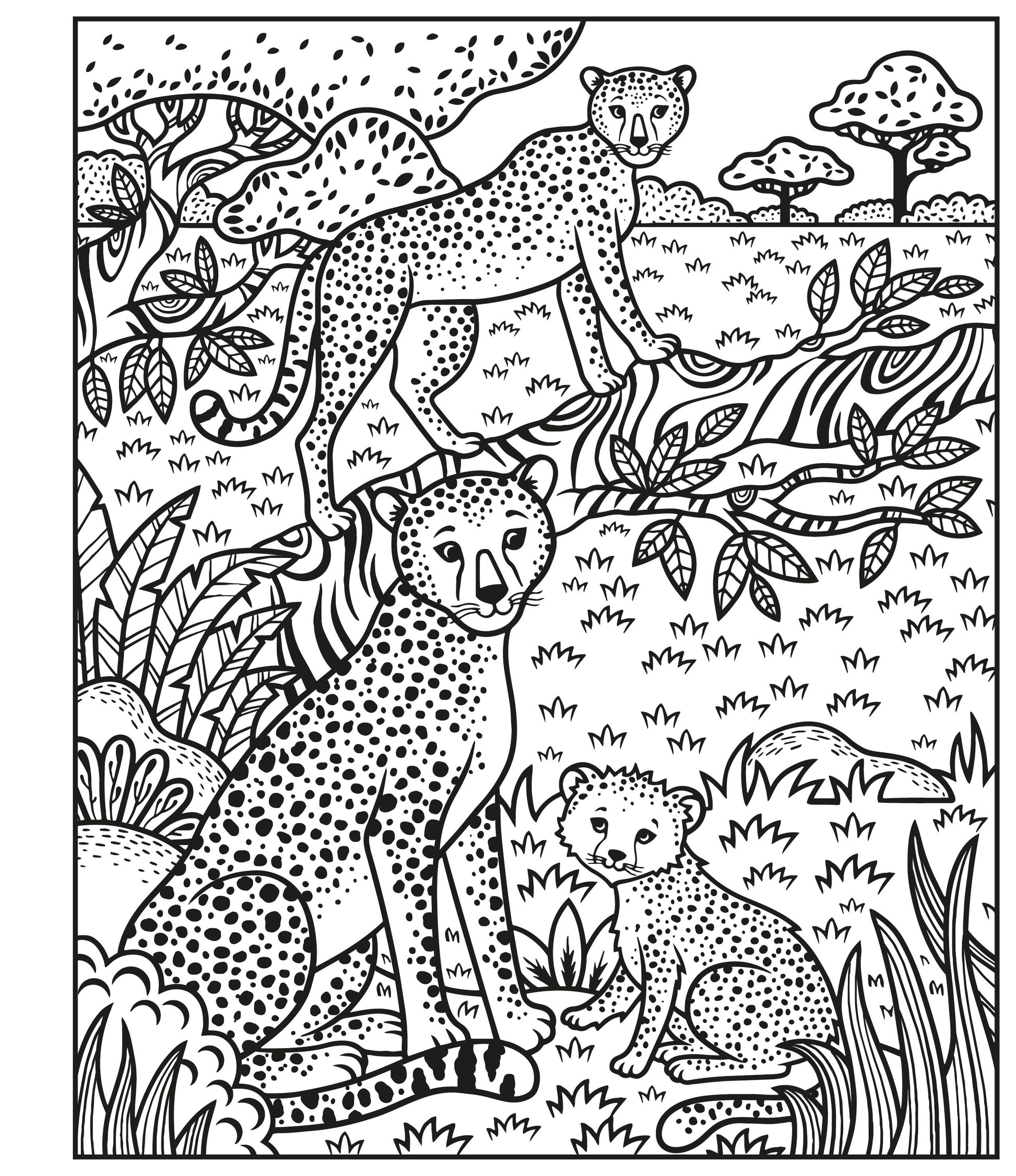 Carte pentru copii pentru pictura cu apa Usborne Magic Painting