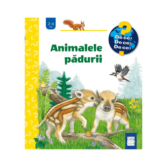 Carte pentru copii educativa, cartonata integral, cu ilustratii 