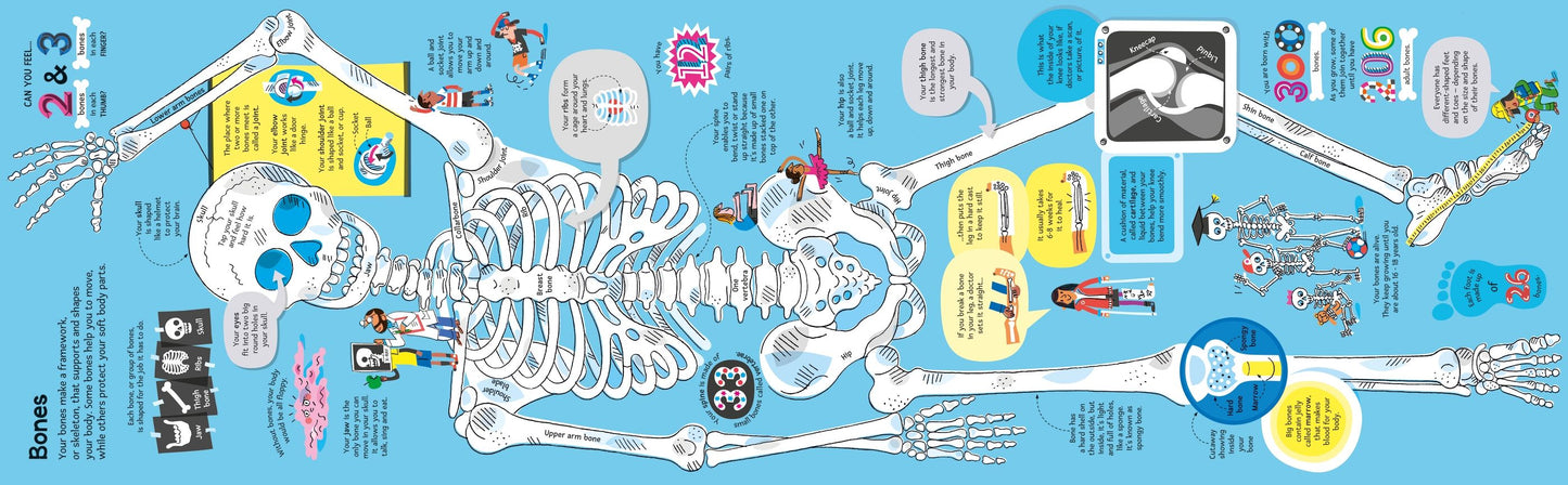 Carte educativa pentru copii, despre corpul uman, Usborne
