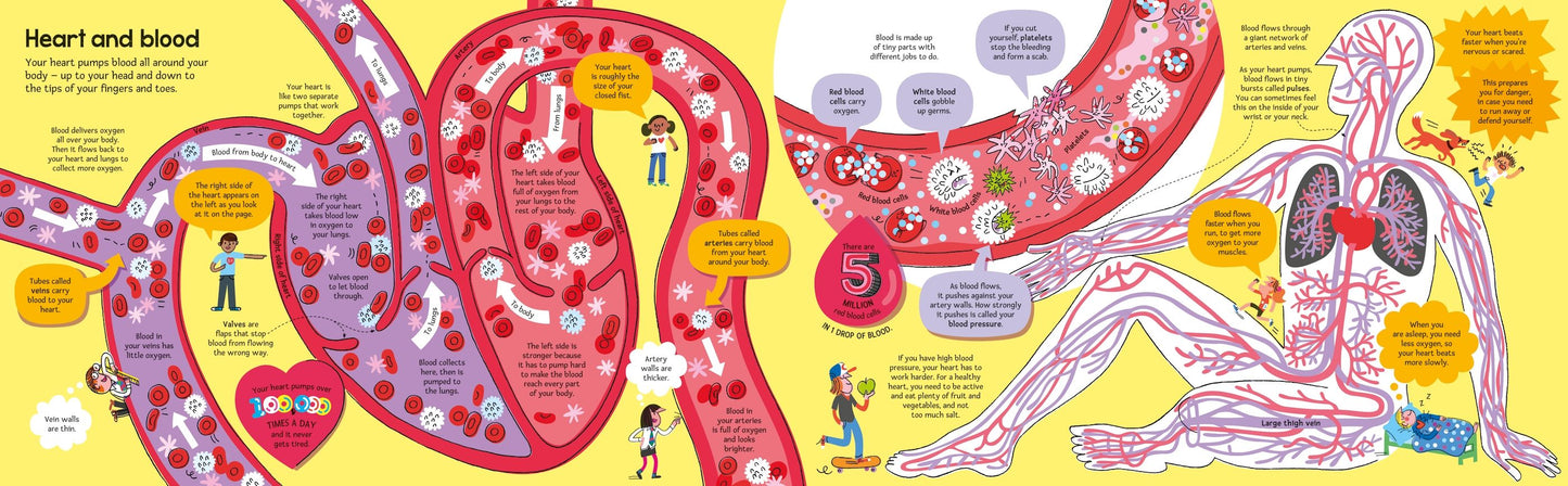 Carte educativa pentru copii, despre corpul uman, Usborne
