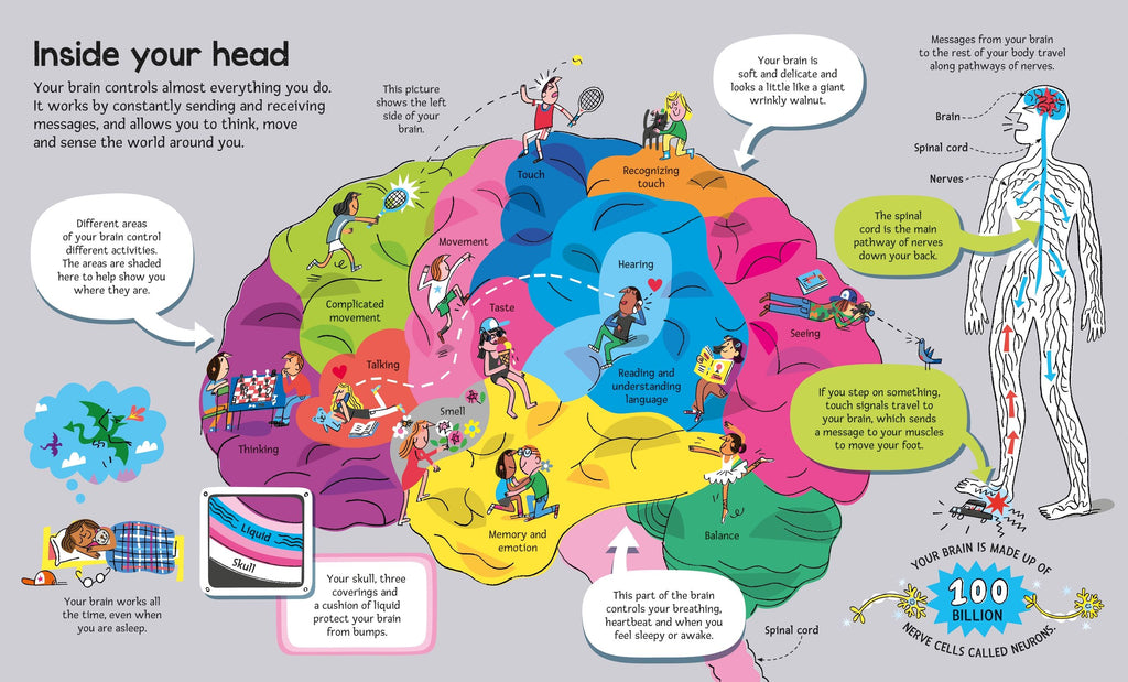 Carte educativa pentru copii, despre corpul uman, Usborne