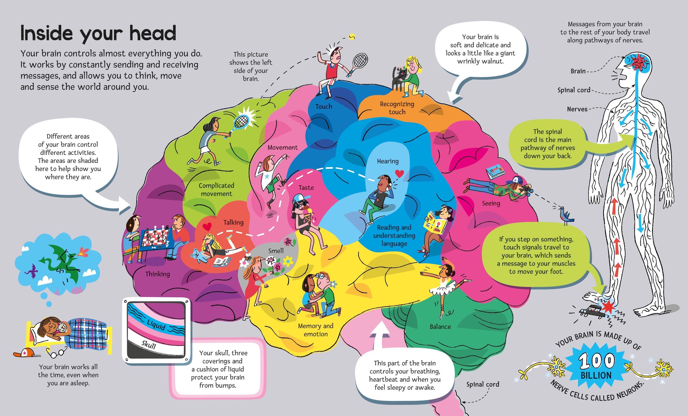 Carte educativa pentru copii, despre corpul uman, Usborne