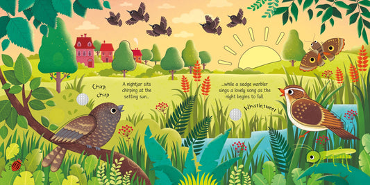 Carte Usborne pentru copii, cu sunete de pasari