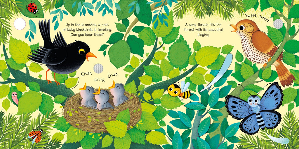 Carte Usborne pentru copii, cu sunete de pasari