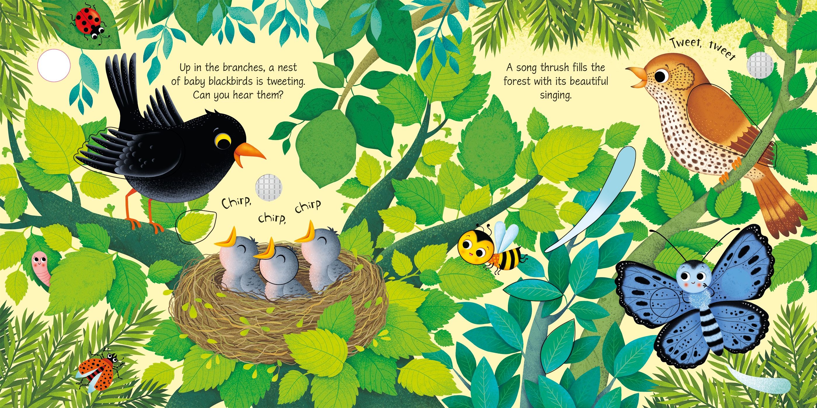 Carte Usborne pentru copii, cu sunete de pasari