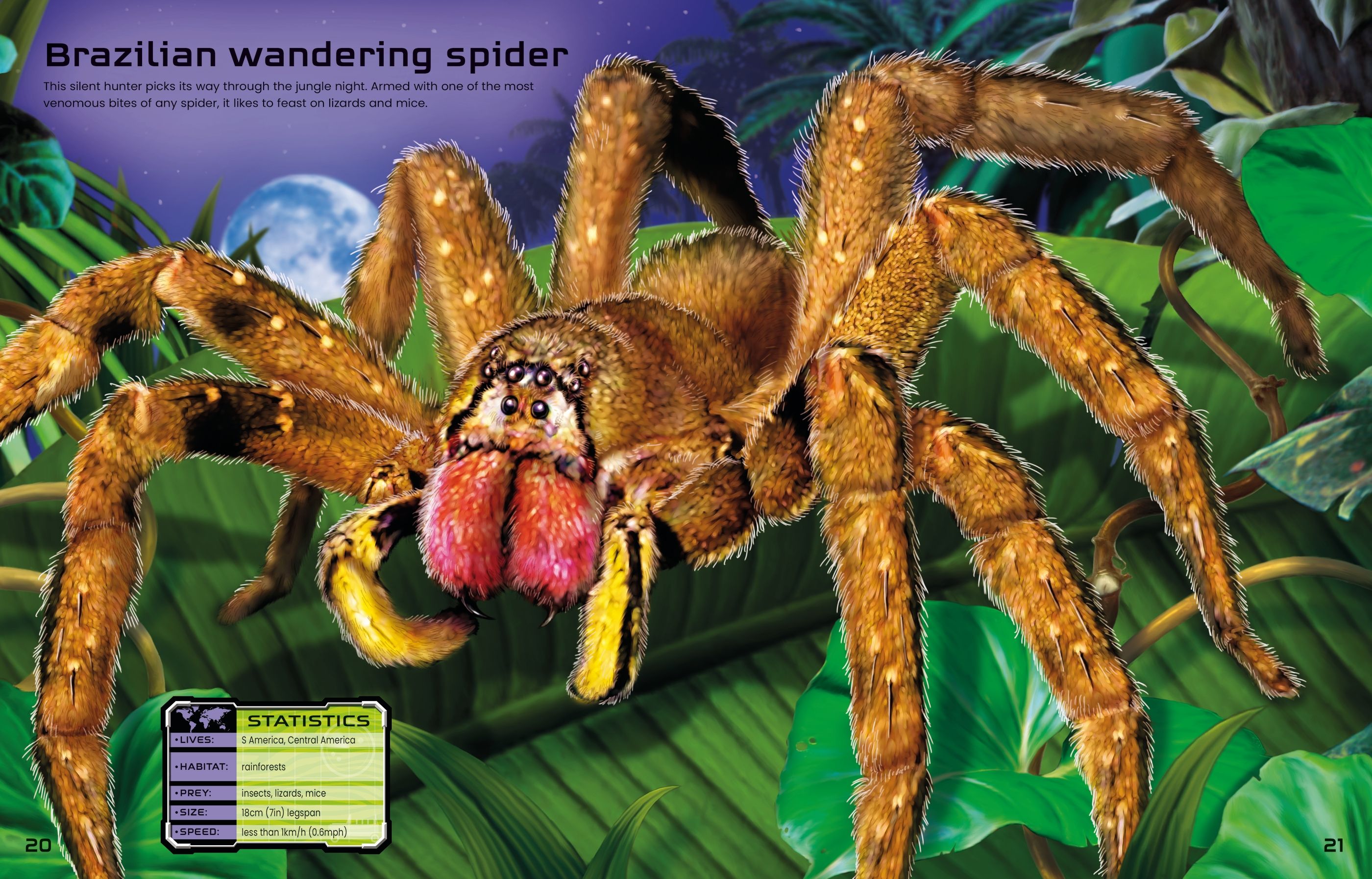 Carte Usborne cu stickere, pentru copii