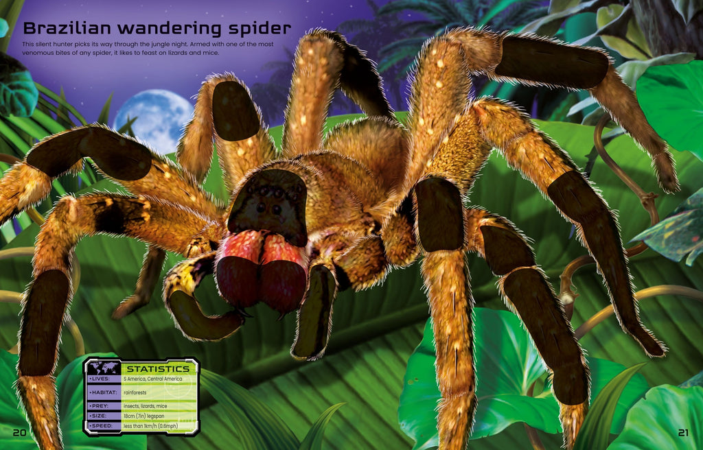 Carte Usborne cu stickere, pentru copii