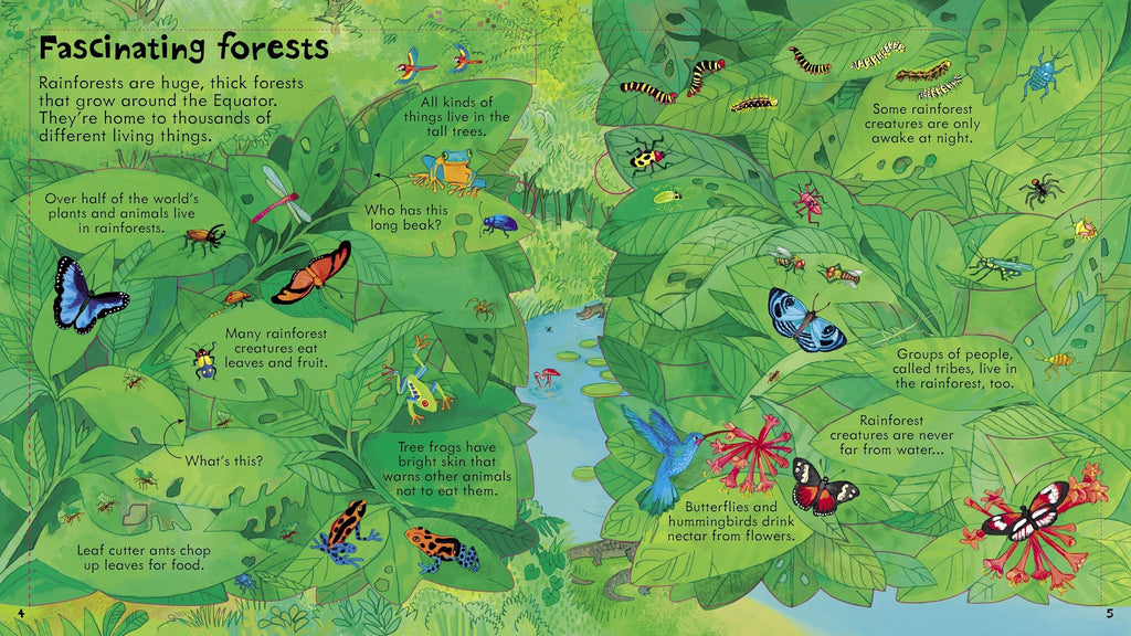 Carte educativa pentru copii, cartonata integral, cu clapete si ilustratii, Usborne Look Inside