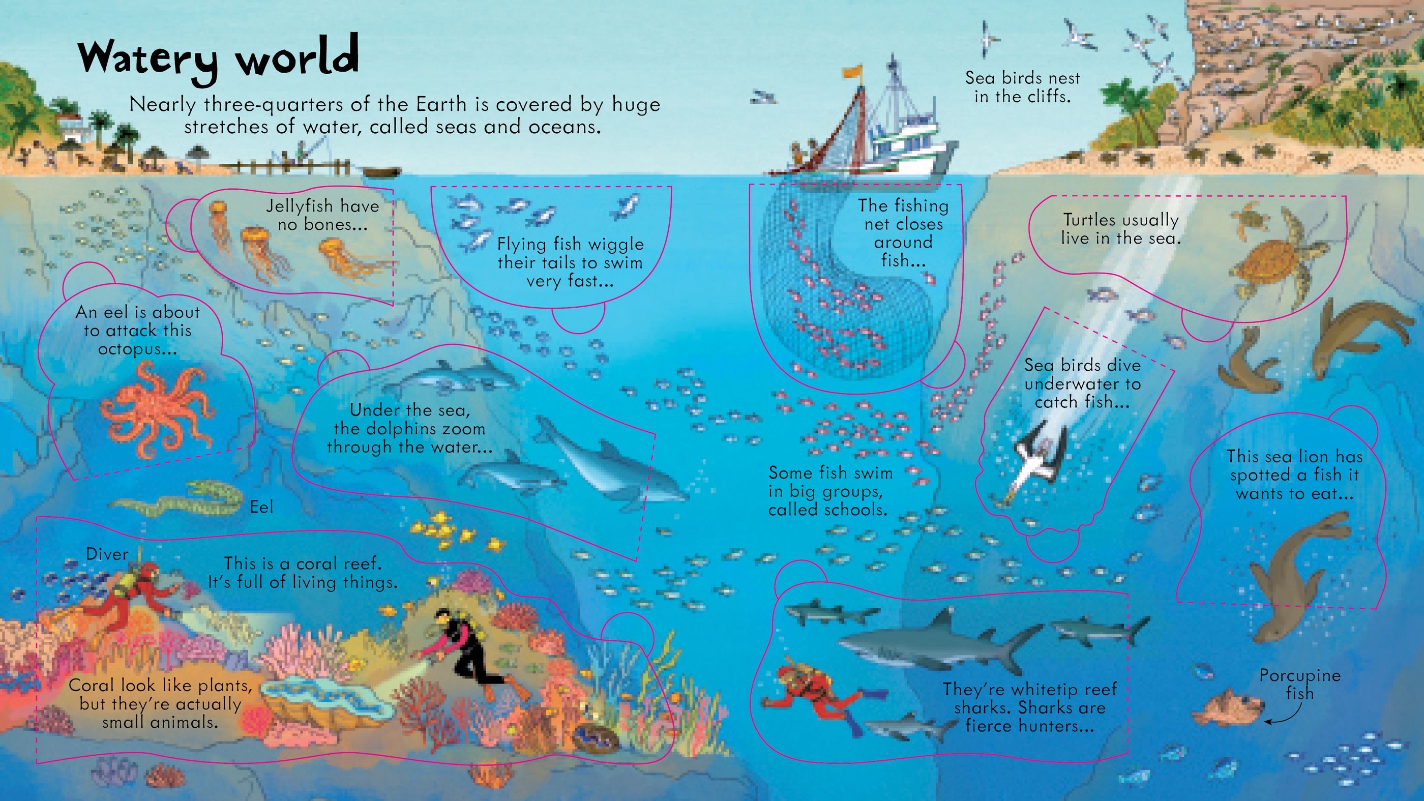 Carte educativa pentru copii, cartonata integral, cu clapete si ilustratii, Usborne Look Inside