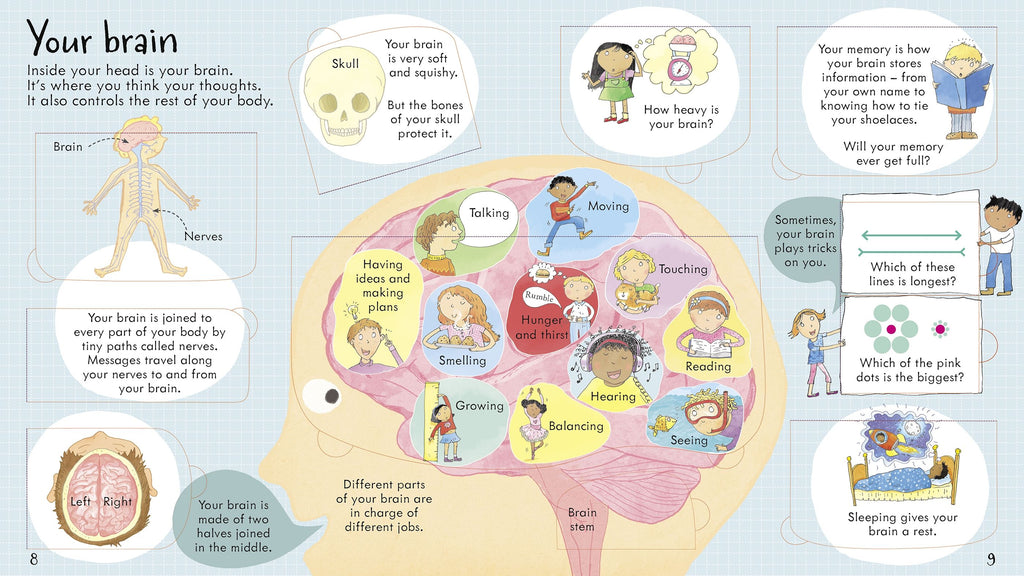 Carte educativa cu ferestre pentru copii, Usborne Look Inside