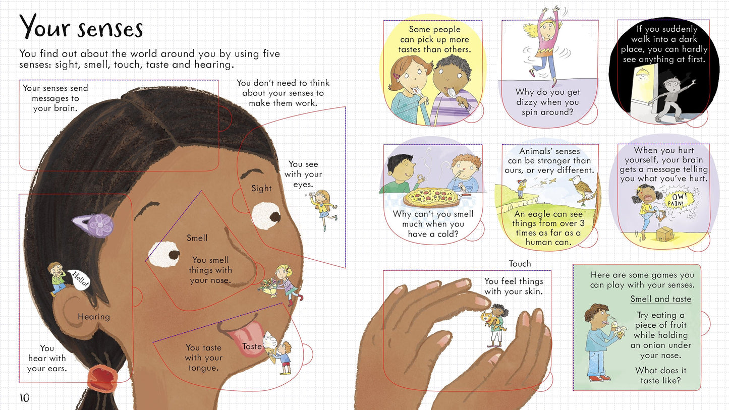 Carte educativa cu ferestre pentru copii, Usborne Look Inside
