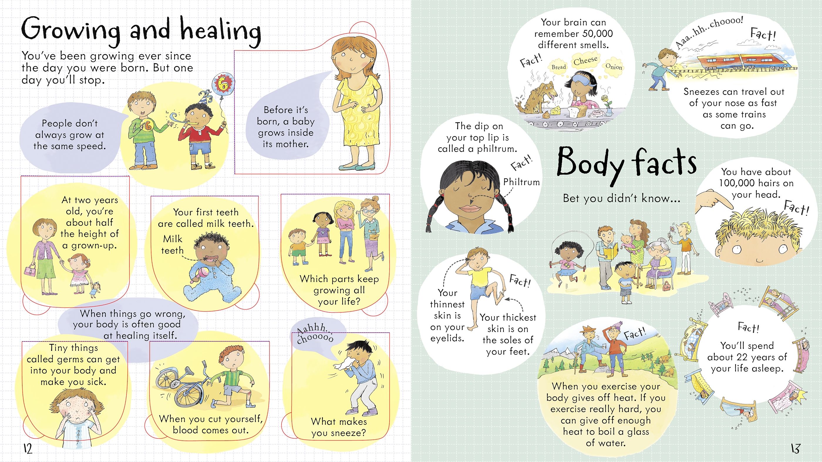 Carte educativa cu ferestre pentru copii, Usborne Look Inside