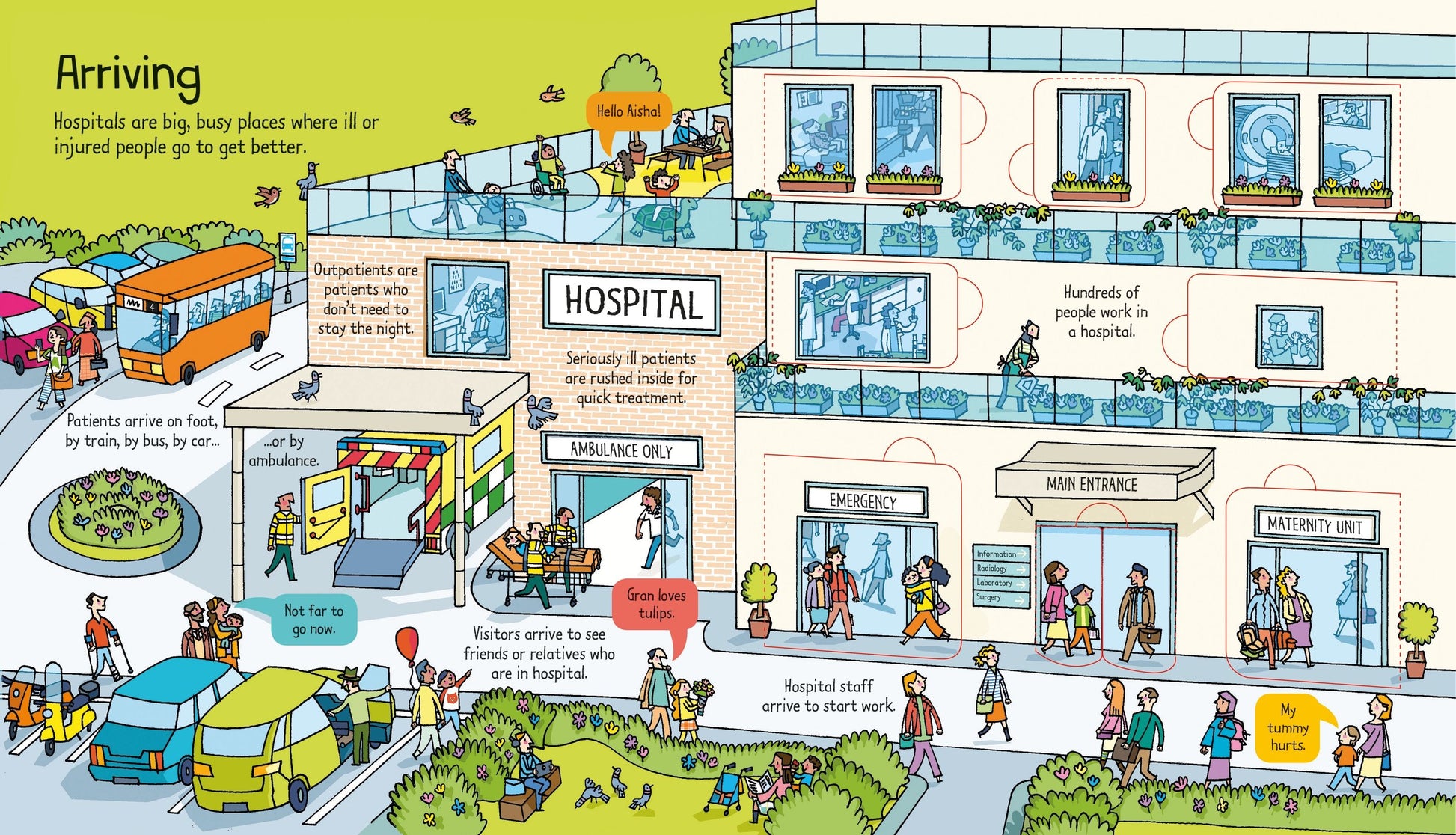 Carte educativa pentru copii, cu ferestre, Usborne Look Inside