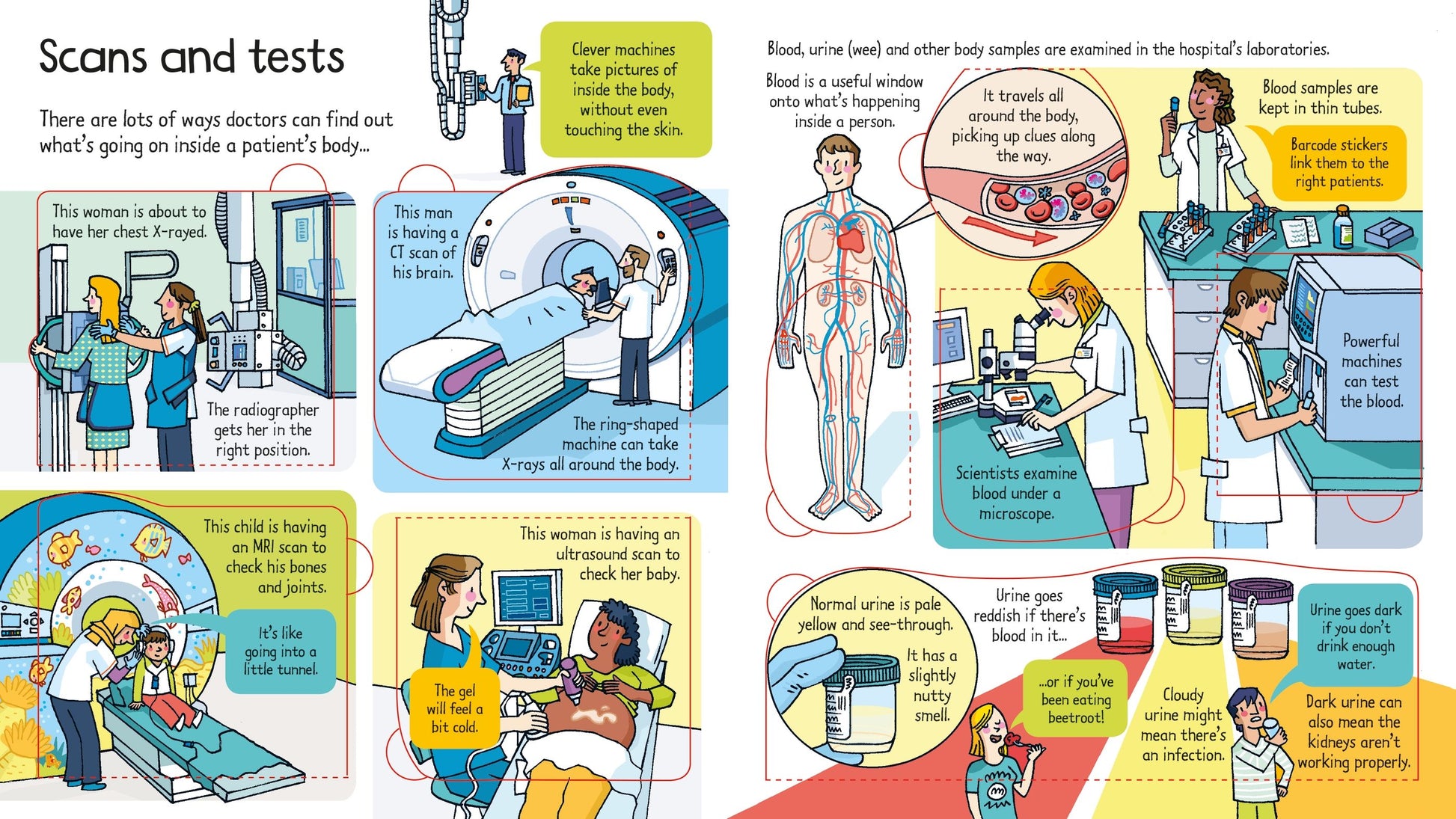 Carte educativa pentru copii, cu ferestre, Usborne Look Inside