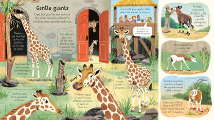 Carte educativa pentru copii, cartonata integral, ilustrata, Usborne Look Inside