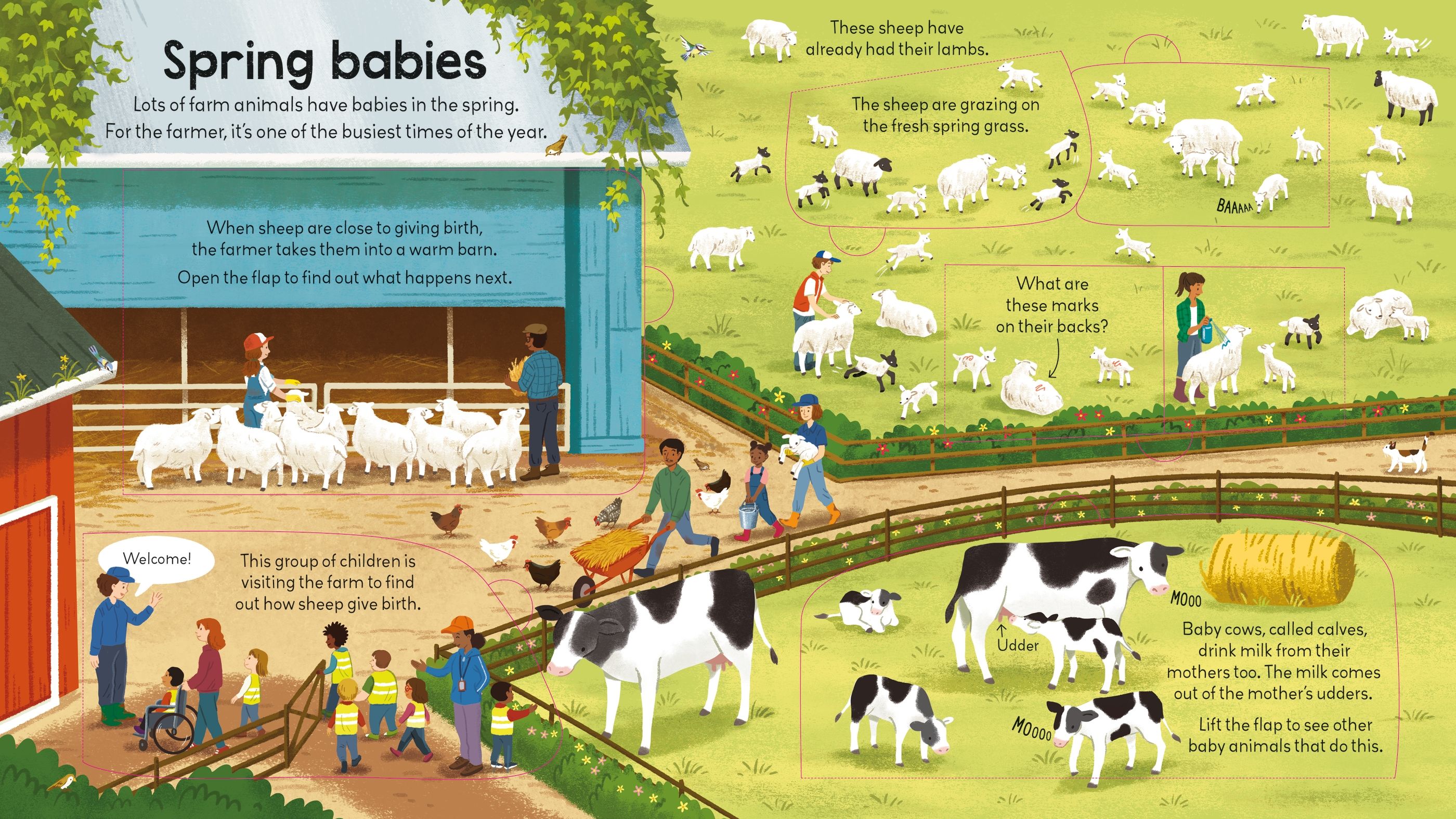 Carte pentru copii cu clapete, integal cartonata, ilustrata si educativa Usborne Look Inside