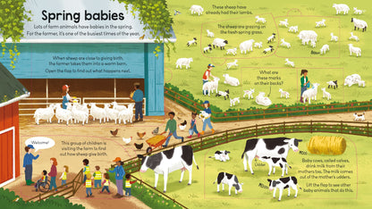 Carte pentru copii cu clapete, integal cartonata, ilustrata si educativa Usborne Look Inside