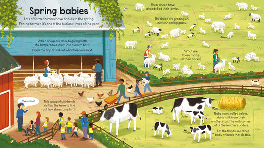 Carte pentru copii cu clapete, integal cartonata, ilustrata si educativa Usborne Look Inside
