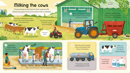 Carte pentru copii cu clapete, integal cartonata, ilustrata si educativa Usborne Look Inside