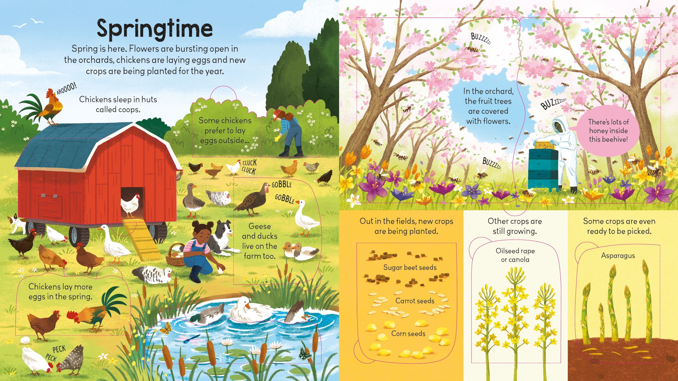 Carte pentru copii cu clapete, integal cartonata, ilustrata si educativa Usborne Look Inside