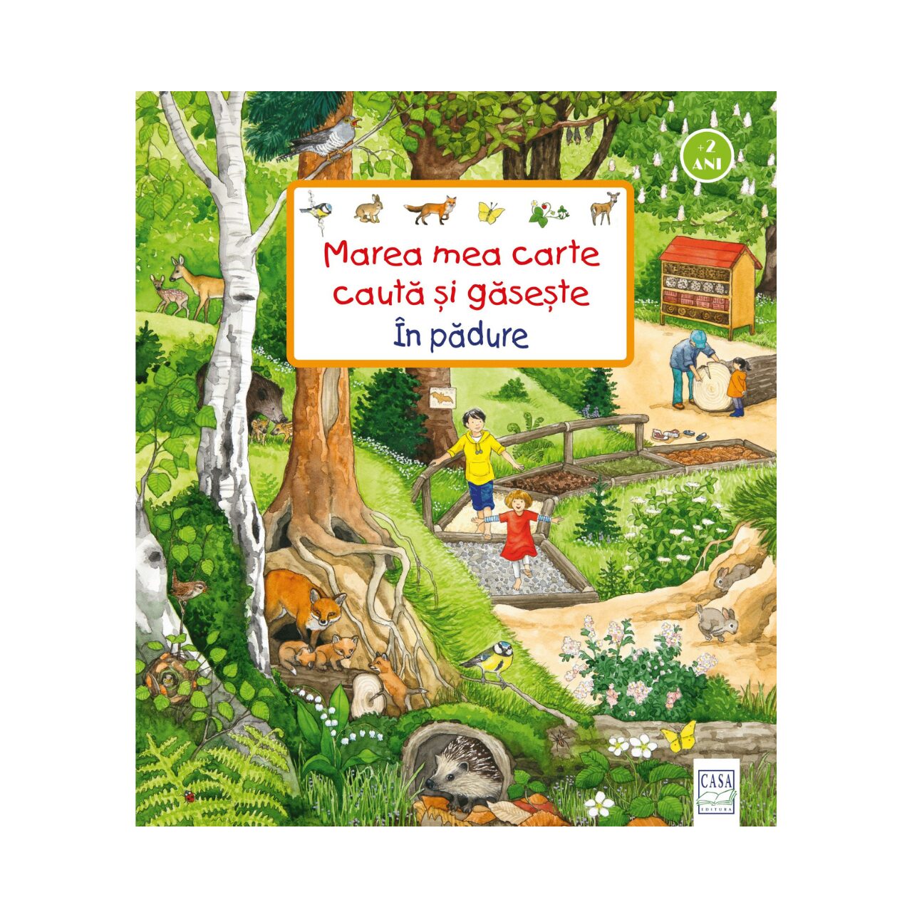 Carte de activitati cauta si gaseste pentru copii, cartonata, ilustrata, in limba romana