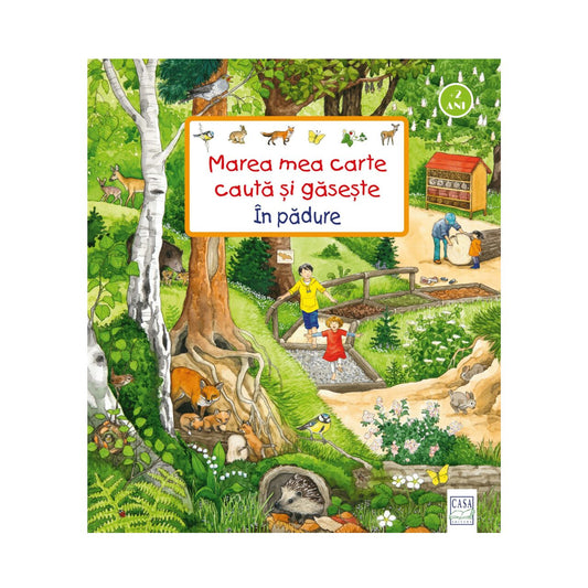 Carte de activitati cauta si gaseste pentru copii, cartonata, ilustrata, in limba romana