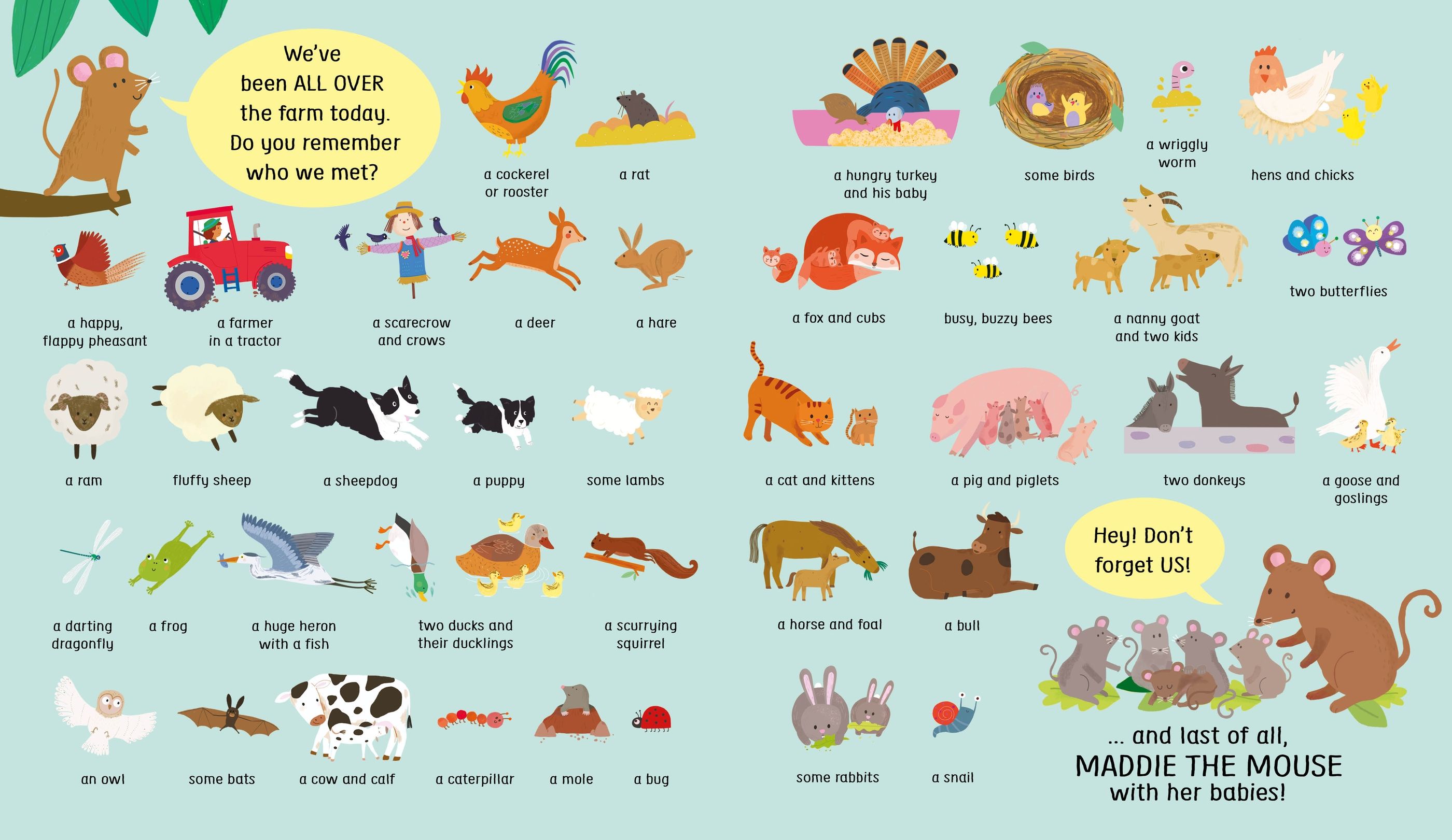 Carte Usborne cu activitati tip Cauta si Gaseste, pentru copii