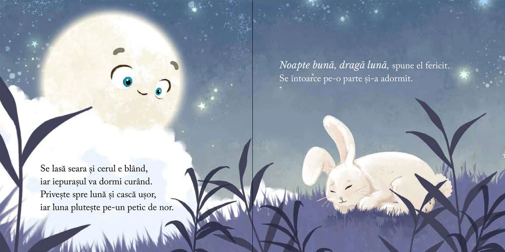 Carte de povesti pentru copii, scrisa de Alec Blenche