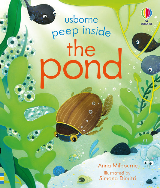 Carte educativa pentru copii, cartonata, cu clapete Usborne Peep Inside