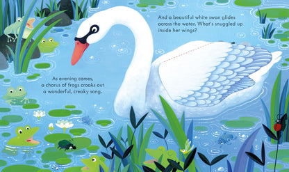 Carte educativa pentru copii, cartonata, cu clapete Usborne Peep Inside