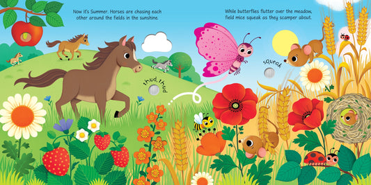 Carte pentru copii cu sunete, Usborne
