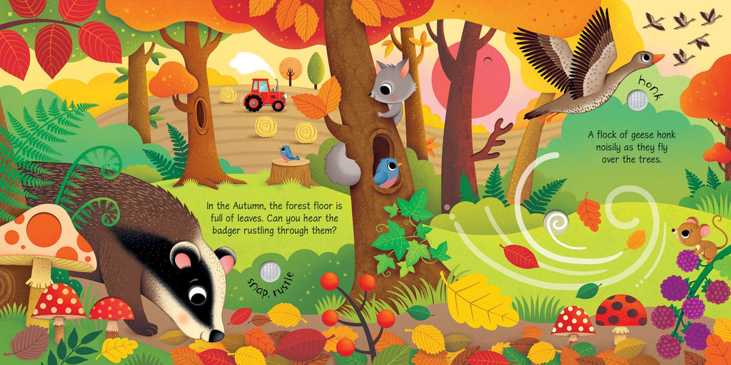 Carte pentru copii cu sunete, Usborne