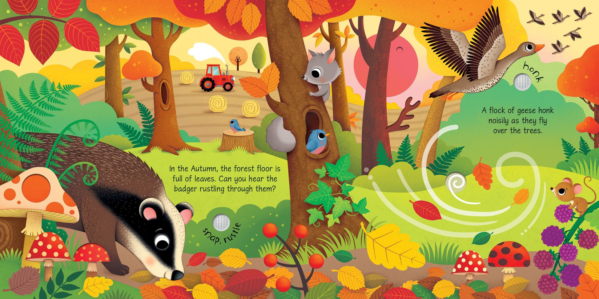 Carte pentru copii cu sunete, Usborne