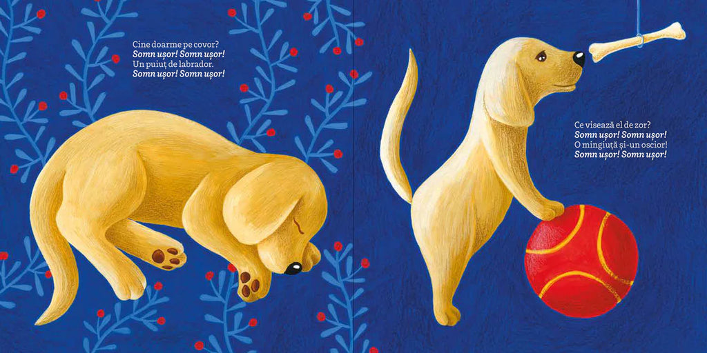 Carte de povesti pentru copii, scrisa de Olina Ortiz