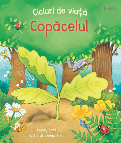 Carte Usborne pentru copii ilustrata si cartonata integral, in limba romana