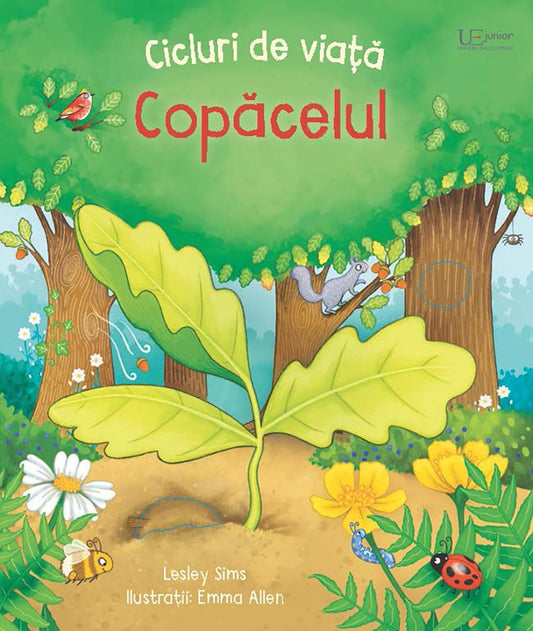Carte Usborne pentru copii ilustrata si cartonata integral, in limba romana