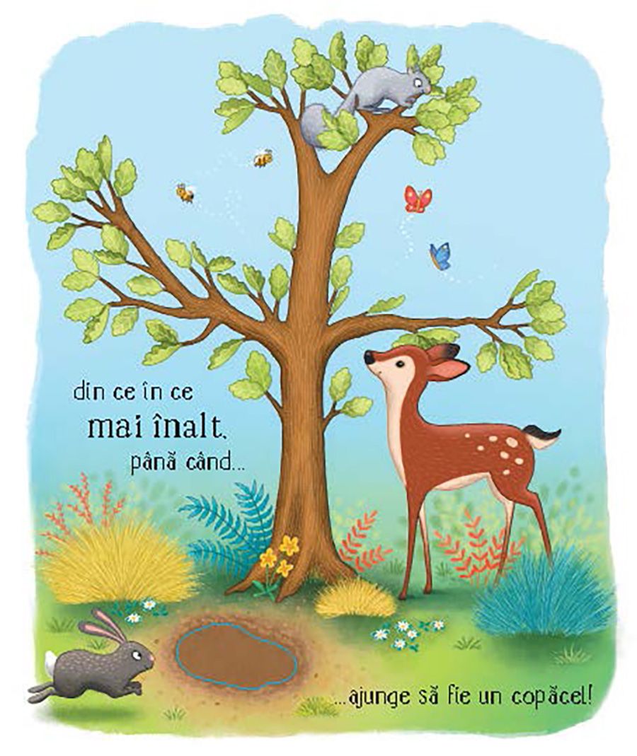 Carte Usborne pentru copii ilustrata si cartonata integral, in limba romana