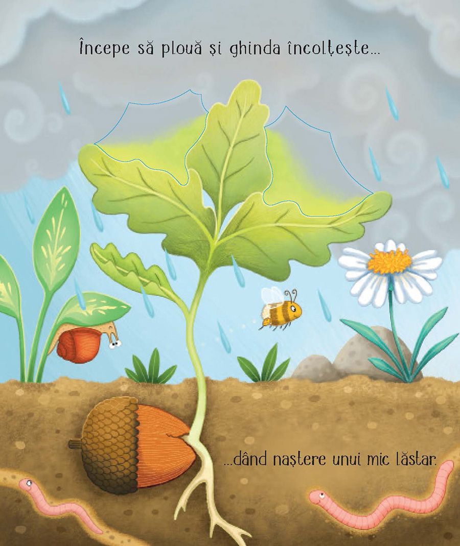 Carte Usborne pentru copii ilustrata si cartonata integral, in limba romana