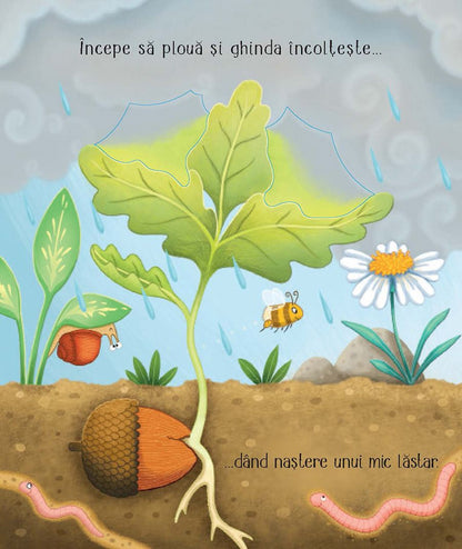 Carte Usborne pentru copii ilustrata si cartonata integral, in limba romana