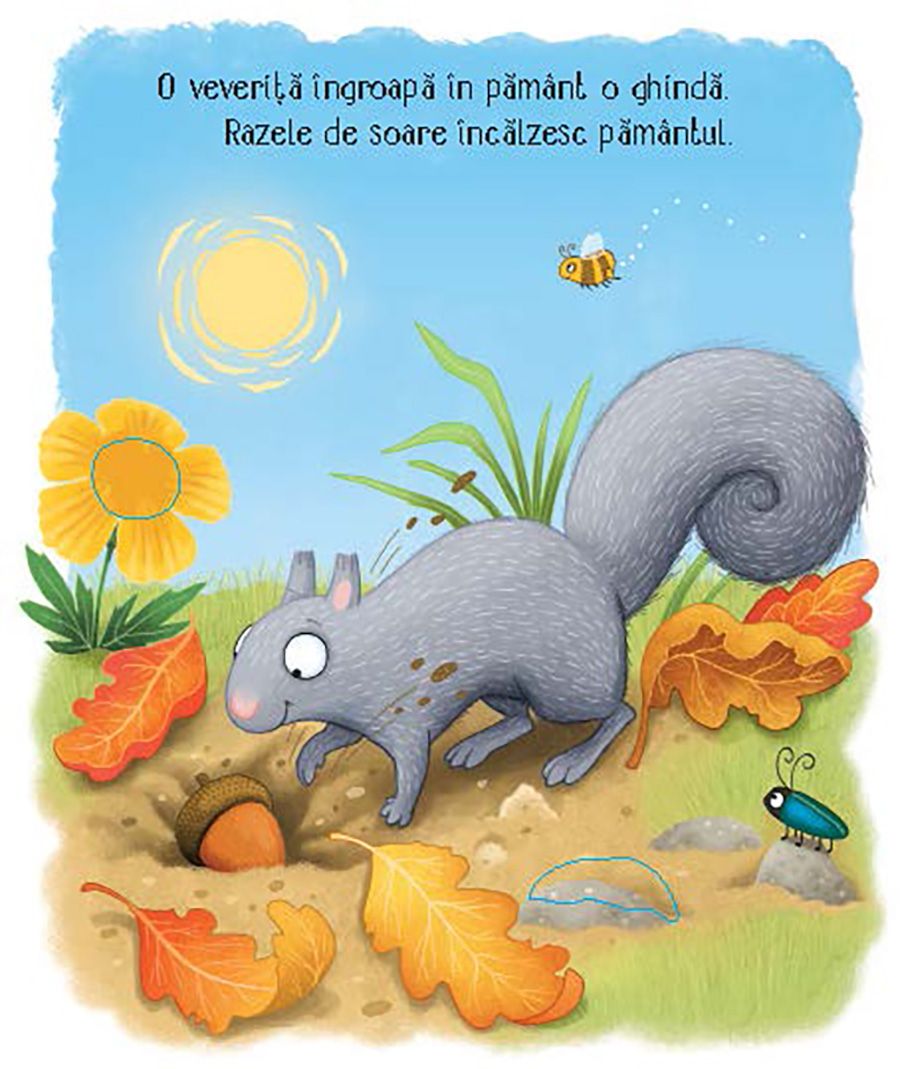 Carte Usborne pentru copii ilustrata si cartonata integral, in limba romana