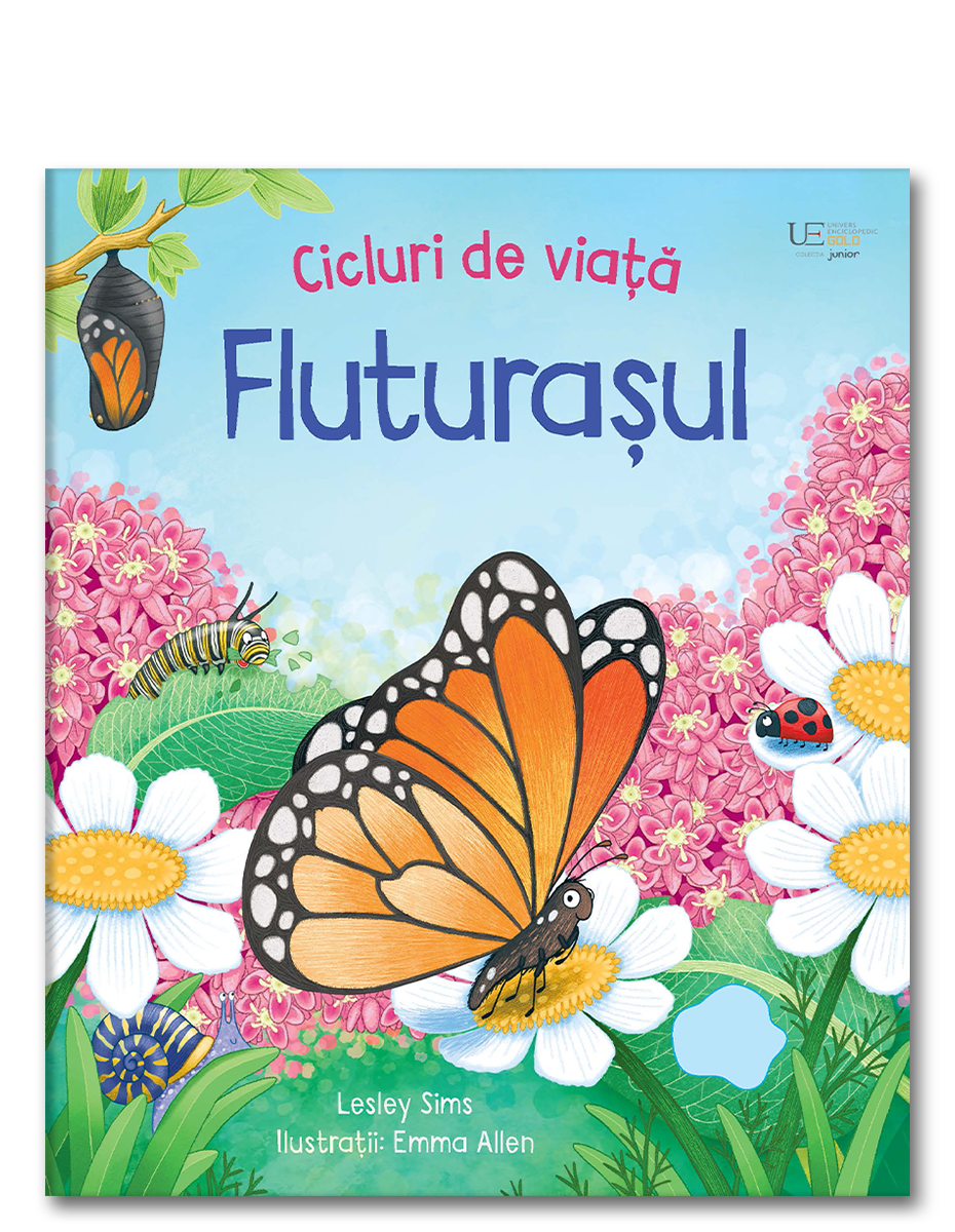 Carte Usborne pentru copii ilustrata si cartonata integral, in limba romana